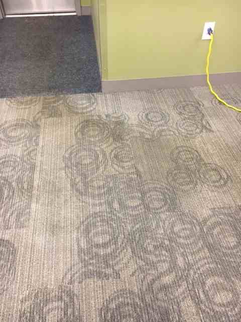 Showing a yellowed wear path in  office carpet.