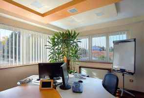 Modern office with 2 monitoros and a keyboard on the desk. Two walls of windows with a large plant in the corner.